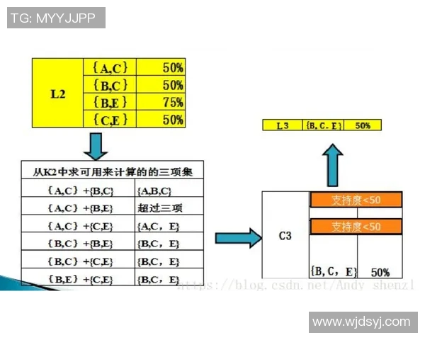 体育课程标准划分的多维度解析与实施策略探讨